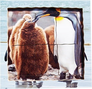 Penguin Lifecycle Layered Tray Puzzle