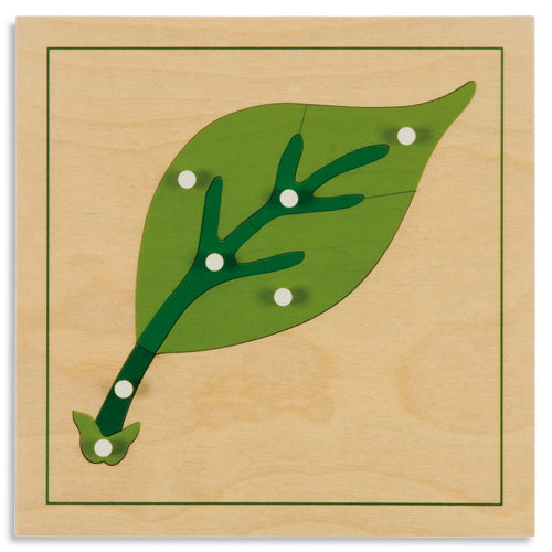Nienhuis Montessori Botany Puzzle: Leaf