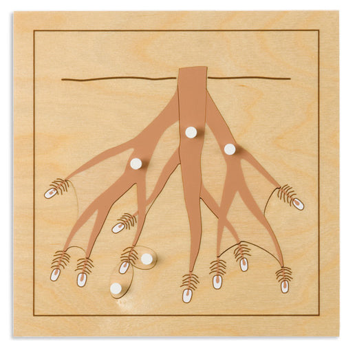 Nienhuis Montessori Botany Puzzle: Root