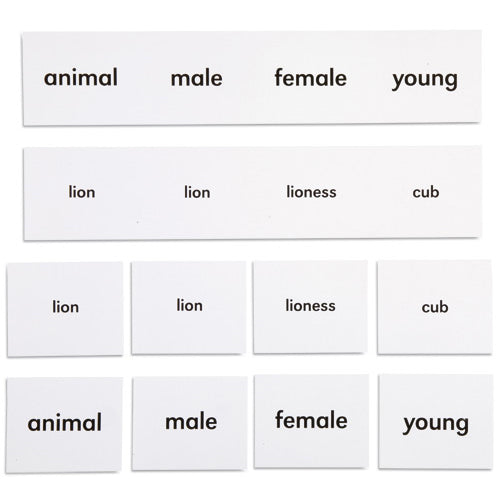 Nienhuis Montessori Csm, Animal Names