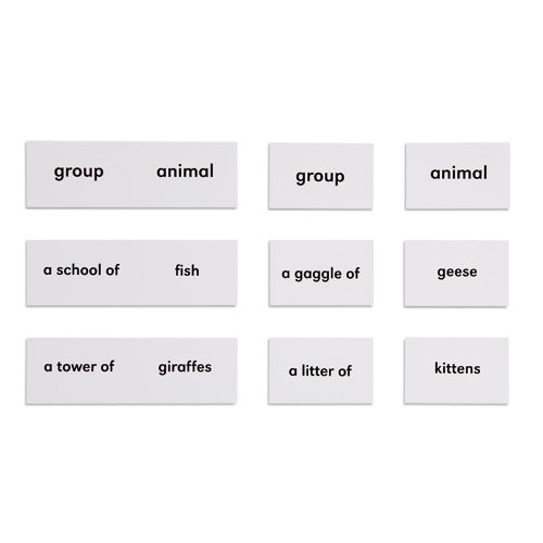 Nienhuis Montessori Csm, Animals And Their Groups
