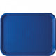 Blue Plastic Tray