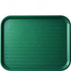Green Plastic Tray