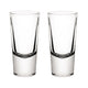 Pair of Shooter Glasses