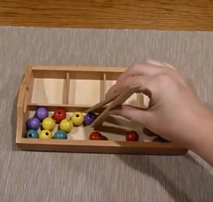 Transferring and Sorting Practical Life Exercises Ideas