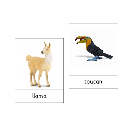 Animals of South America  .pdf file