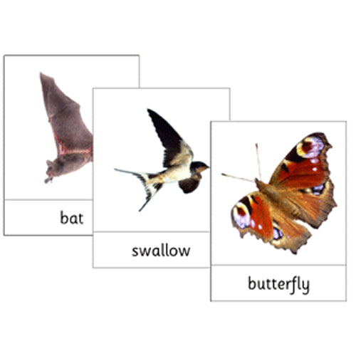 Montessori Air Wildlife Cards .pdf File