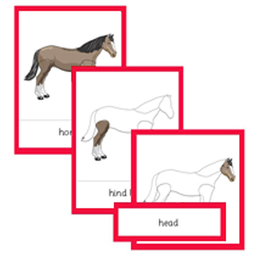 Montessori Parts Of A Horse Cards .pdf File