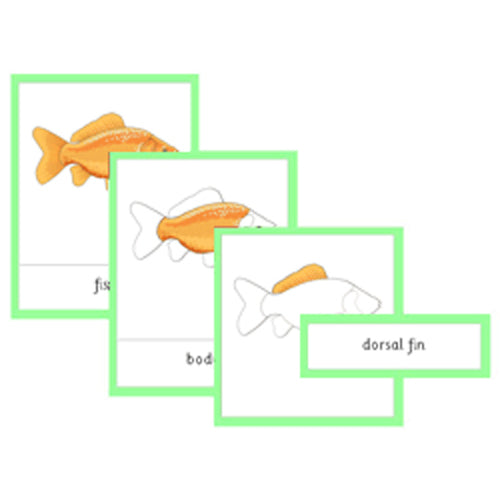Montessori Parts Of A Fish Cards .pdf File