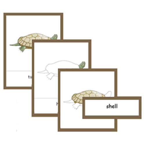 Montessori Parts Of A Turtle Cards .pdf File