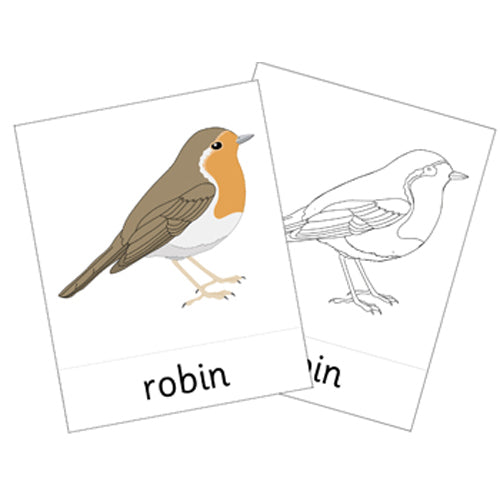 Montessori Native Birds Cards .pdf File