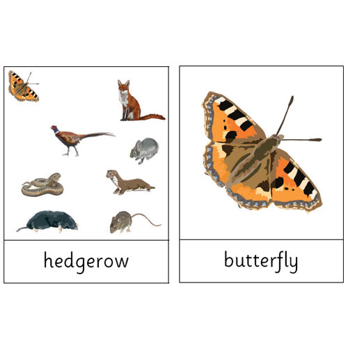 Montessori Meadow and hedgerow Wildlife .pdf File