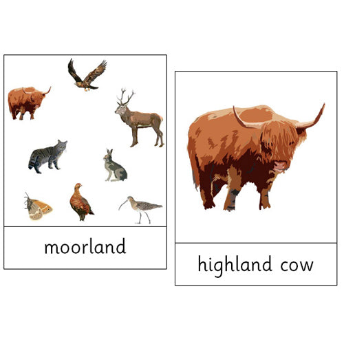 Montessori Moor and Mountain Wildlife .pdf File