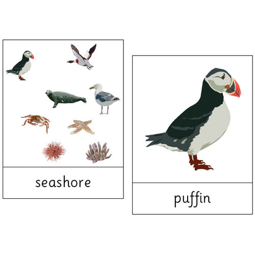Montessori Seashore Wildlife .pdf File