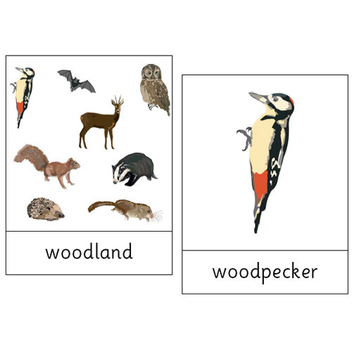 Montessori Woodland Wildlife .pdf File