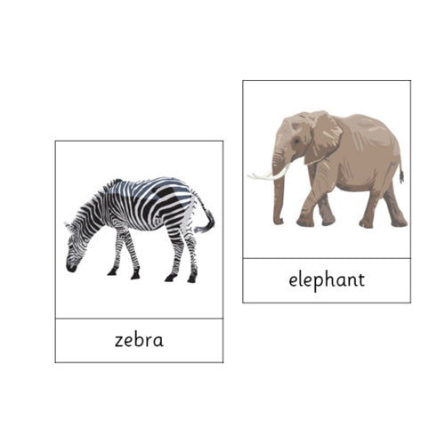 Montessori Animals of Africa .pdf File