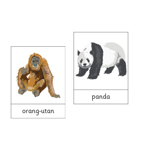 Montessori Animals of Asia .pdf File