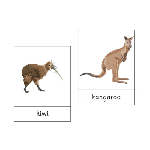 Montessori Animals of Australasia .pdf File