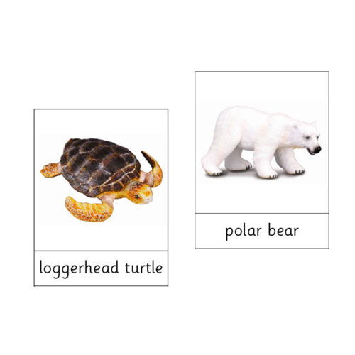 Montessori Animals of the Oceans and Polar Regions .pdf file