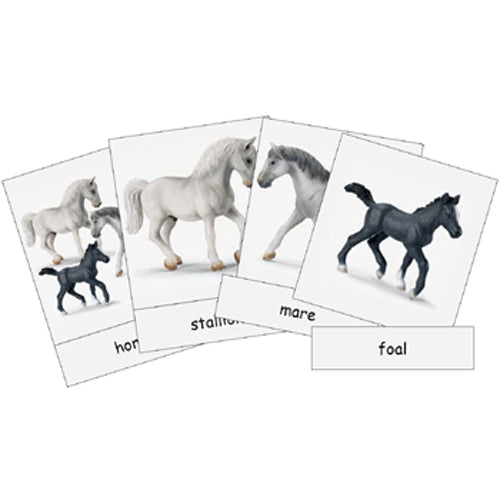 Montessori Farm Animal Families Cards and Noun Labels .pdf File