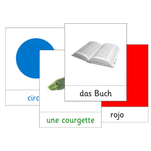 100+ French Word and Picture Cards .pdf file